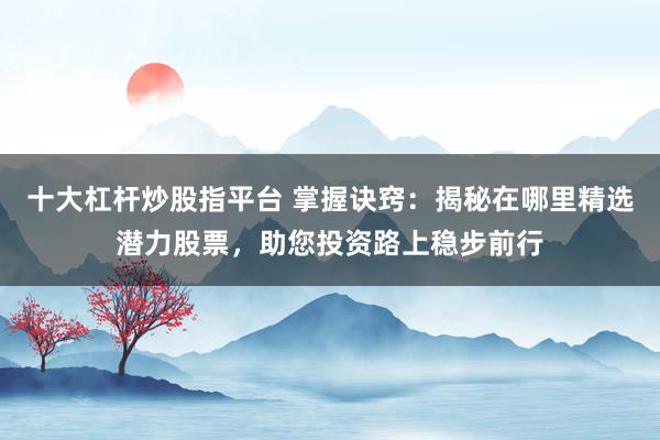 十大杠杆炒股指平台 掌握诀窍：揭秘在哪里精选潜力股票，助您投资路上稳步前行