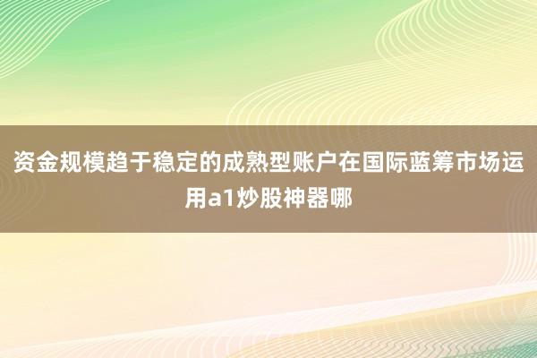 资金规模趋于稳定的成熟型账户在国际蓝筹市场运用a1炒股神器哪