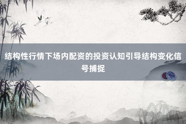 结构性行情下场内配资的投资认知引导结构变化信号捕捉