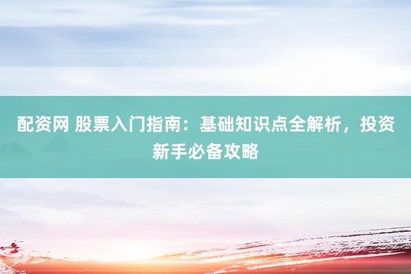 配资网 股票入门指南：基础知识点全解析，投资新手必备攻略