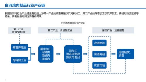 数字化转型智能制造汇报材料 满分材料